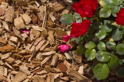 Bark mulch installed at a residential home in Normal, IL.