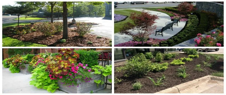Applying fertilization services for a local business in Normal, IL.